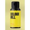 Colorant alimentaire hydrosoluble Colour Mill 20 ml
