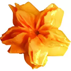 Douille inox décor fleur n°253