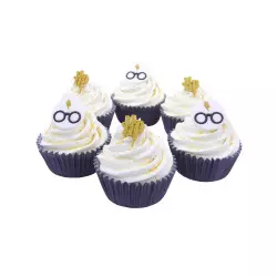 Harry Potter logo, glasses and scar edible decorations x6