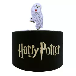 Pochoir à gâteau Harry Potter logo