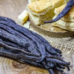 10 Uganda vanilla beans Size M