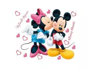 Cheap Minnie and Mickey's cake decoration